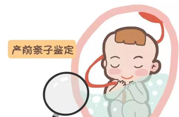 泰州父亲和胎儿如何做亲子鉴定,泰州产前亲子鉴定准确吗