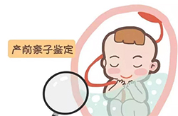 泰州父亲和胎儿如何做亲子鉴定[鉴定咨询]，泰州产前亲子鉴定准确吗